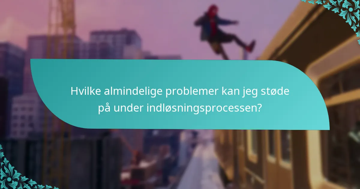 Hvilke almindelige problemer kan jeg støde på under indløsningsprocessen?